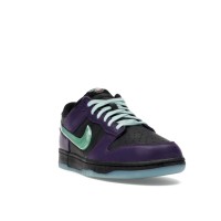 Nike Dunk Low LTD Wizard