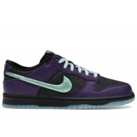 Nike Dunk Low LTD Wizard
