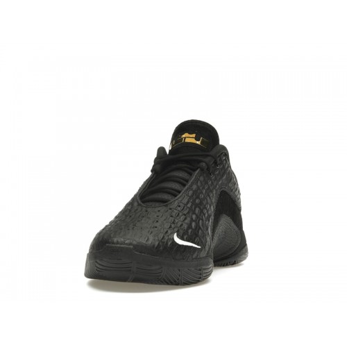 Кроссы Nike LeBron 22 Black Label - мужская сетка размеров