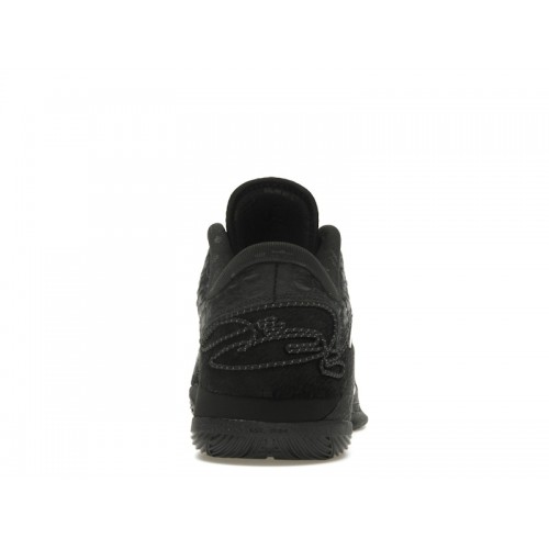 Кроссы Nike LeBron 22 Black Label - мужская сетка размеров