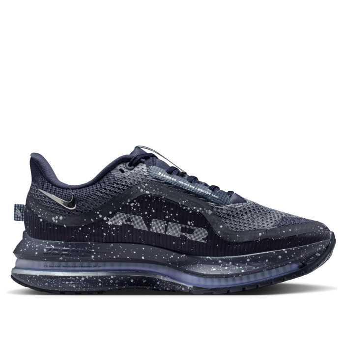 Nike Wmns Pegasus Premium SE Cave Purple/Metallic Silver/Black - женская сетка размеров Nike Wmns Pegasus Premium SE Cave Purple/Metallic Silver/Black - женская сетка размеров