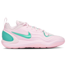 Женские Nike Aja Wilson ATwo AKA (W)