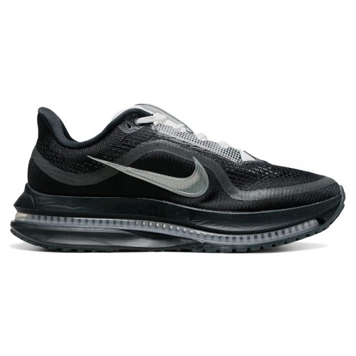 Nike Pegasus Premium SP Black Metallic Silver - мужская сетка размеров