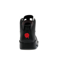 Jordan 6 Retro PRM Bin23