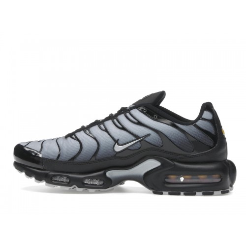 Nike Wmns Air Max Plus SE Black Wolf Grey - женская сетка размеров