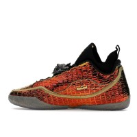 Nike LeBron 23 All-Star Warning Label