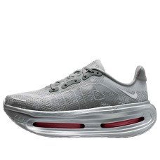 Женские Nike Vomero Premium QS Fleur De-Lis Geyser Grey (W)