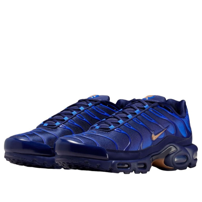 Nike Air Max Plus French Football Federation - мужская сетка размеров Nike Air Max Plus French Football Federation - мужская сетка размеров