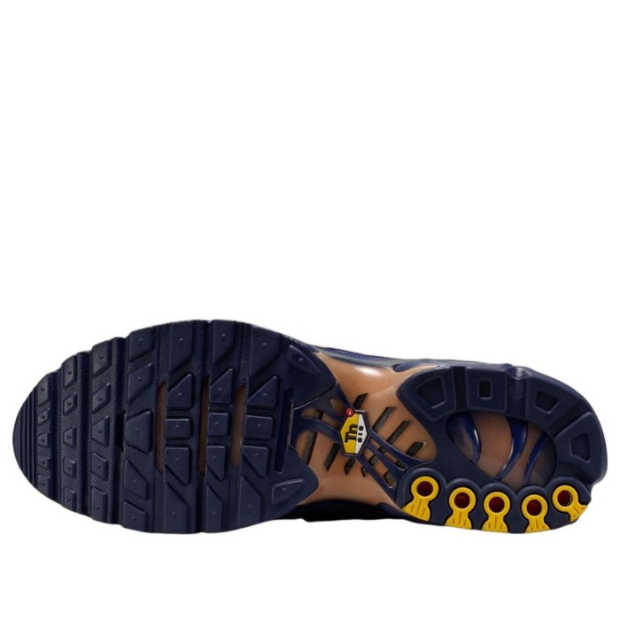 Nike Air Max Plus French Football Federation - мужская сетка размеров Nike Air Max Plus French Football Federation - мужская сетка размеров