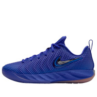 Подростковые Nike Caitlin 1 Caitlin Blue (GS)