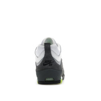 Nike SB Air Max Ishod Wair Neon