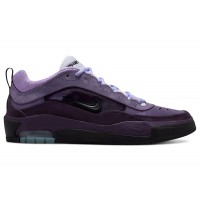 Nike SB Air Max Ishod Wair Grand Purple
