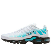 Nike Air Max Plus Dusty Cactus White