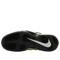 Nike Air Foamposite Pro Glow-In-The-Dark