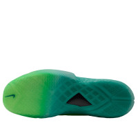 Nike Kobe 3 Low Protro Grinch