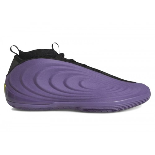 adidas Harden Vol. 10 Matte Purple - мужская сетка размеров