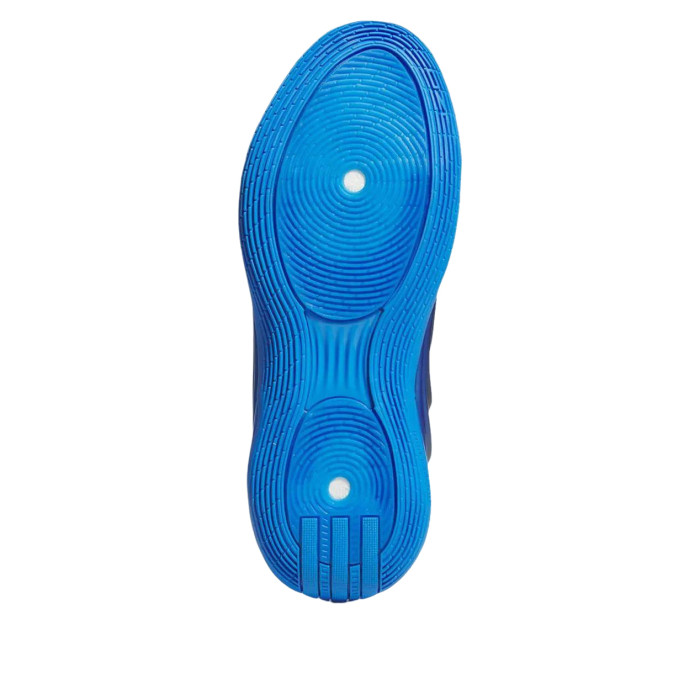 adidas Harden Vol. 10 Ray Blue - мужская сетка размеров adidas Harden Vol. 10 Ray Blue - мужская сетка размеров