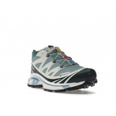 Кроссовки Salomon XT-6 Gore-Tex Kith Ponderosa Pine