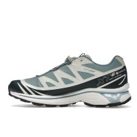 Кроссовки Salomon XT-6 Gore-Tex Kith Ponderosa Pine
