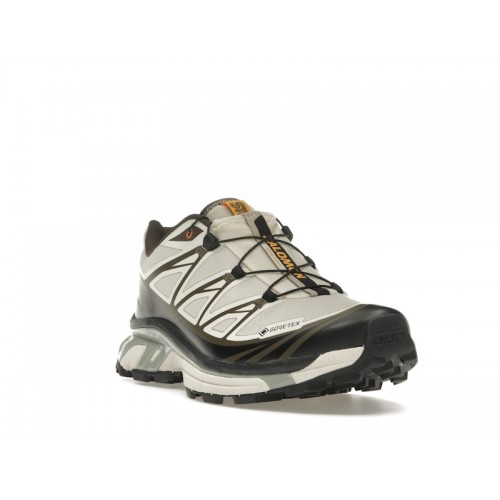 Кроссы Salomon XT-6 Gore-Tex Sneakersnstuff Almond Milk Seagrass - мужская сетка размеров