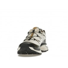 Кроссовки Salomon XT-6 Gore-Tex Sneakersnstuff Almond Milk Seagrass