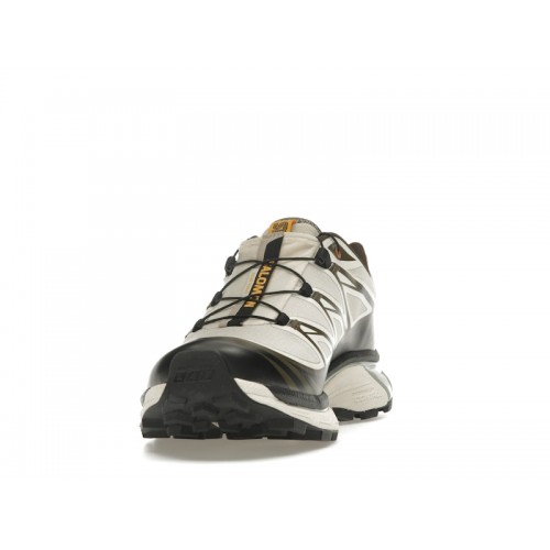 Кроссы Salomon XT-6 Gore-Tex Sneakersnstuff Almond Milk Seagrass - мужская сетка размеров