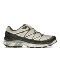 Кроссовки Salomon XT-6 Gore-Tex Sneakersnstuff Almond Milk Seagrass