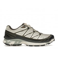 Кроссовки Salomon XT-6 Gore-Tex Sneakersnstuff Almond Milk Seagrass