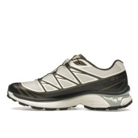Кроссовки Salomon XT-6 Gore-Tex Sneakersnstuff Almond Milk Seagrass