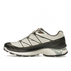Кроссовки Salomon XT-6 Gore-Tex Sneakersnstuff Almond Milk Seagrass