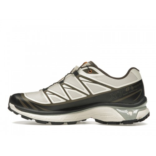 Кроссы Salomon XT-6 Gore-Tex Sneakersnstuff Almond Milk Seagrass - мужская сетка размеров