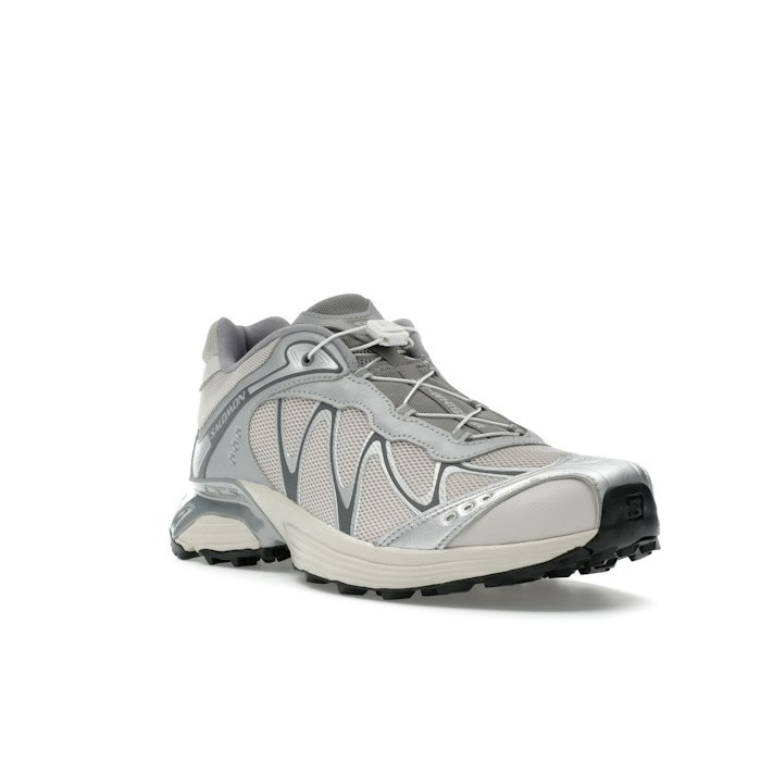 Salomon XT-Whisper Silver Lunar Rock - мужская сетка размеров Salomon XT-Whisper Silver Lunar Rock - мужская сетка размеров