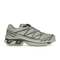 Salomon XT-6 Gore-Tex Tea Peat