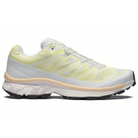 Salomon XT-6 Alpen Blossom Ice Flow