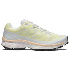 Salomon XT-6 Alpen Blossom Ice Flow