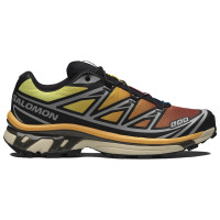 Salomon XT-6 Black Grape Leaf Beach Ball