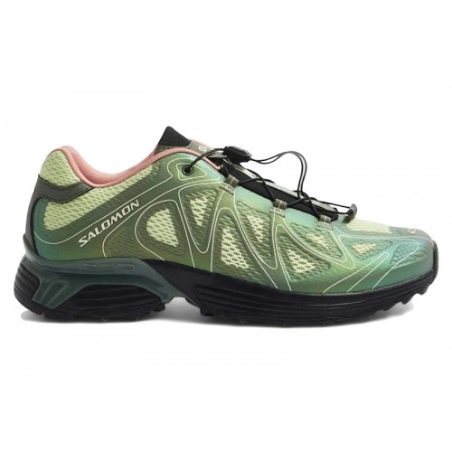 Кроссы Salomon XT-Whisper Void END. Avocado - мужская сетка размеров