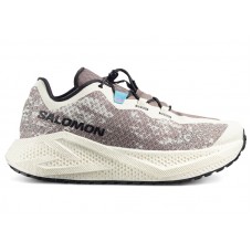 Женские Salomon Aero Glide 4 GRVL Vanilla Ice Black (W)