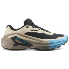 Salomon Genesis 2 Gore-Tex Oxford Tan Walnut Niagara