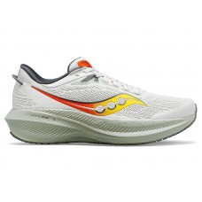 Кроссовки Saucony Triumph 21 Fog Bough