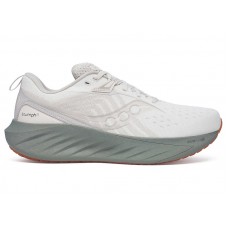 Кроссовки Saucony Triumph 22 Moon Bough