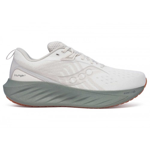 Кроссы Saucony Triumph 22 Moon Bough - мужская сетка размеров