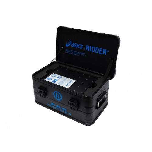 ASICS Gel-DS Trainer 14 Hidden NY Dusk (Special Box) - мужская сетка размеров