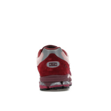 New Balance 2011 Kith Sakura Flower