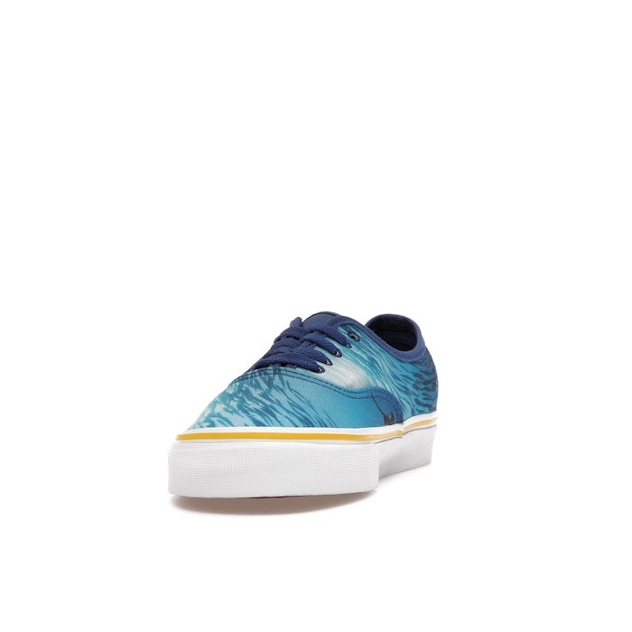 National Geographic x Vans Authentic Ocean - мужская сетка размеров National Geographic x Vans Authentic Ocean - мужская сетка размеров