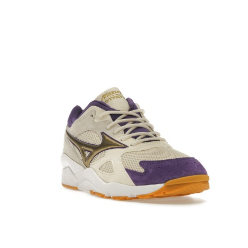 Кроссы Mizuno Skymedal OG Footpatrol - мужская сетка размеров